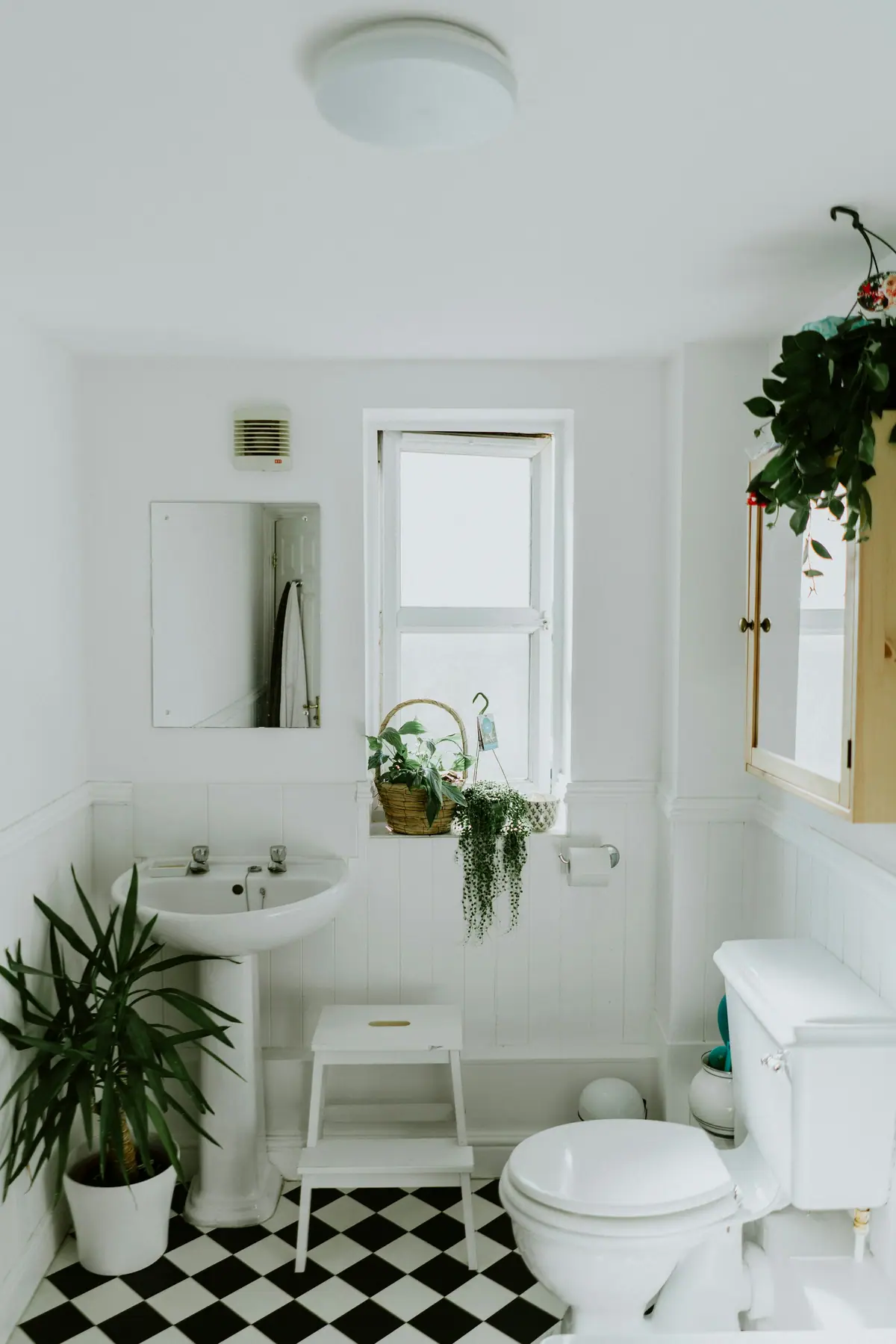 Baño blanco con ventana, lavatorio de pie y plantas colgantes